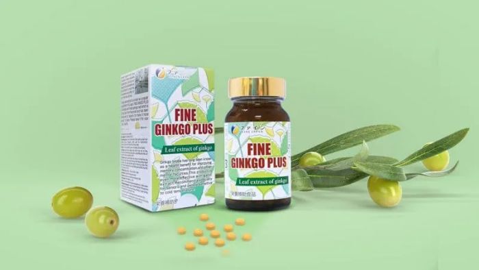 Fine Ginkgo Plus – Tăng cường tuần hoàn máu não, bảo vệ trí não - Ảnh 1