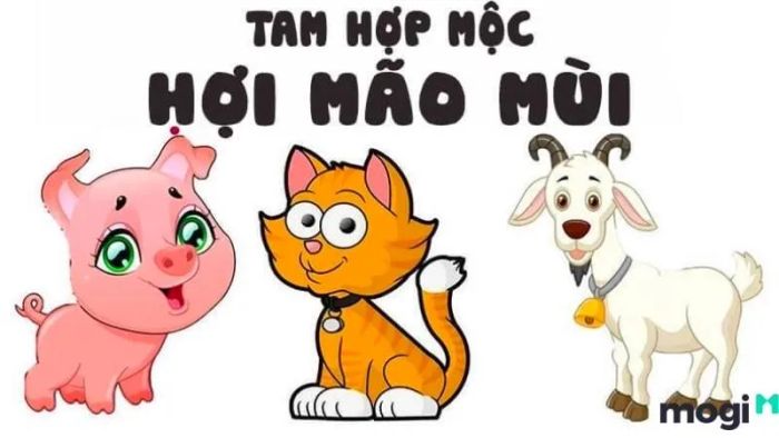 Người sinh năm 2011 thuộc mệnh gì theo ngũ hành?