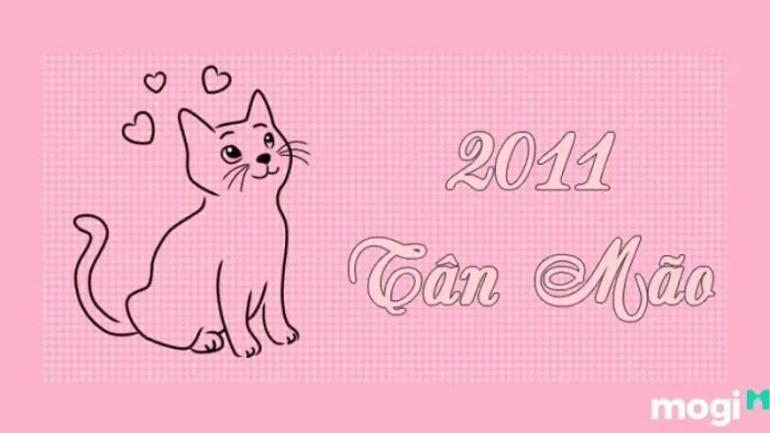 Người sinh năm 2011 thuộc mệnh gì theo ngũ hành?