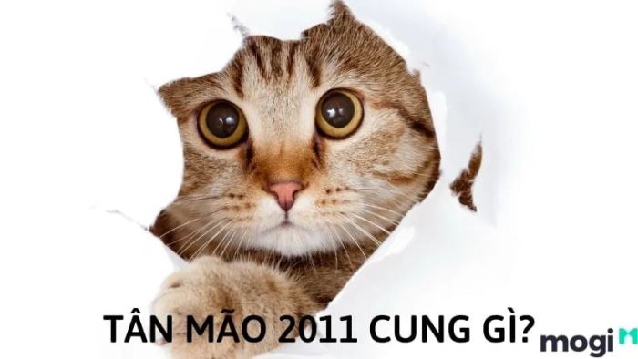 Người sinh năm 2011 thuộc mệnh nào trong ngũ hành?