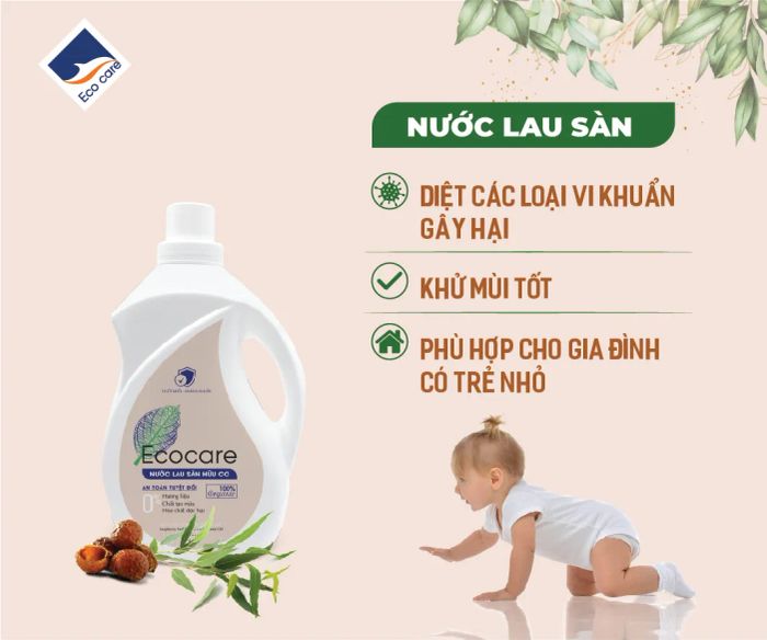 Bộ sưu tập nước lau sàn hữu cơ Eco Care - Bảo vệ sức khỏe từ gốc