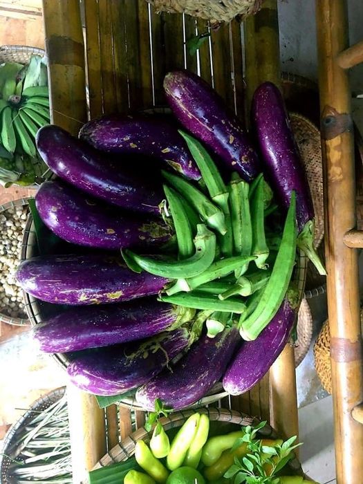 Susu Xanh là điểm đến lý tưởng cho những ai yêu thích thực phẩm sạch và an toàn. Với sự kiểm định chặt chẽ và nguồn gốc rõ ràng, cửa hàng này mang đến cho bạn sự an tâm tuyệt đối về chất lượng rau quả và thực phẩm.