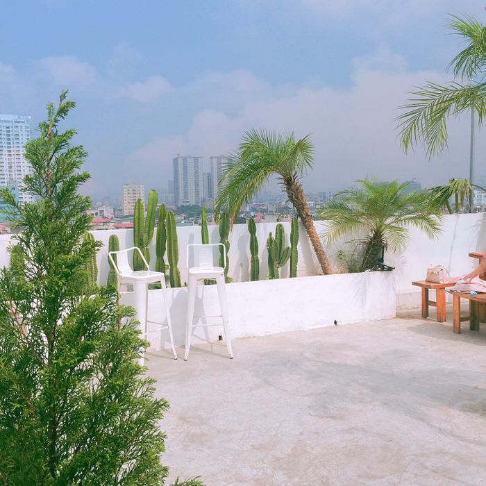 Khu vườn xương rồng tại CAFE 1994 - góc sống ảo đậm chất nhiệt đới