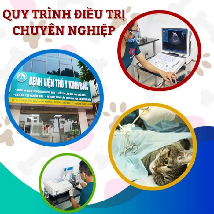 Hình ảnh Bệnh viện thú y Kinh Bắc Từ Sơn - Cơ sở vật chất hiện đại