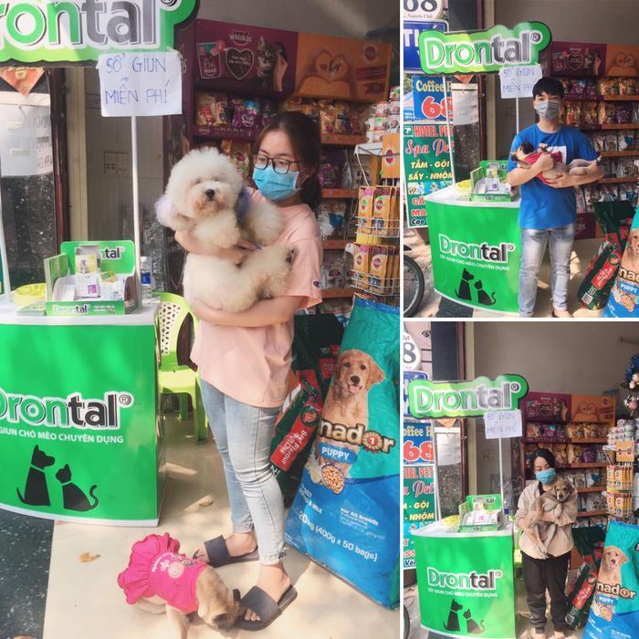 Không gian hiện đại tại Phòng khám thú y Pet World