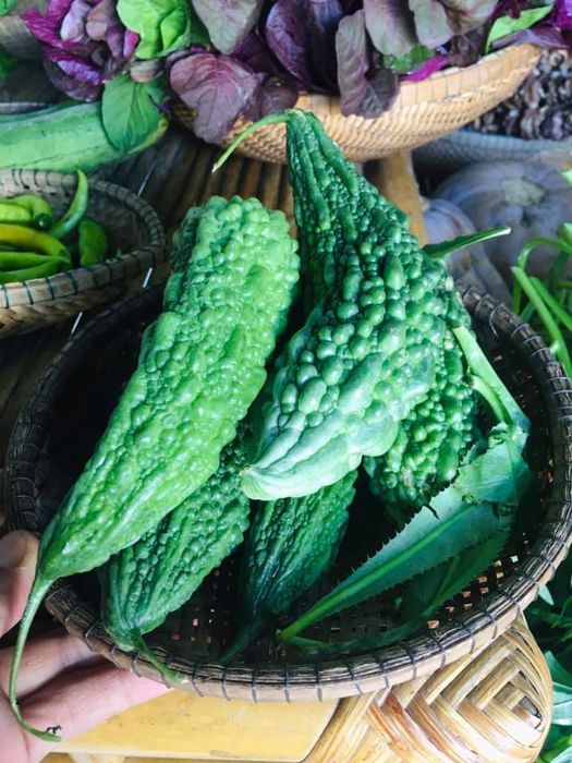 Cửa hàng rau sạch Hữu Cơ - Susu Xanh Huế, nơi hội tụ những sản phẩm hữu cơ tinh túy nhất. Chất lượng luôn được cam kết với các tiêu chuẩn cao nhất. Đến với Susu Xanh, bạn không chỉ được chọn lựa rau sạch mà còn được tận hưởng thực phẩm tươi ngon, hoàn toàn tự nhiên, không hóa chất độc hại.