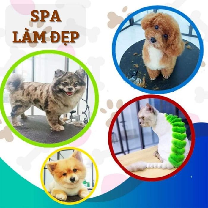 Hình ảnh Bệnh viện thú y Kinh Bắc Từ Sơn - Không gian điều trị tiêu chuẩn