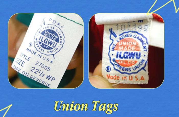 Hình ảnh minh họa Union Tags đặc trưng