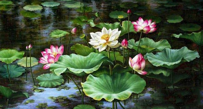Hình ảnh minh họa sống động: Hoa sen Việt - Biểu tượng của sự thanh khiết (Nguồn: internet)