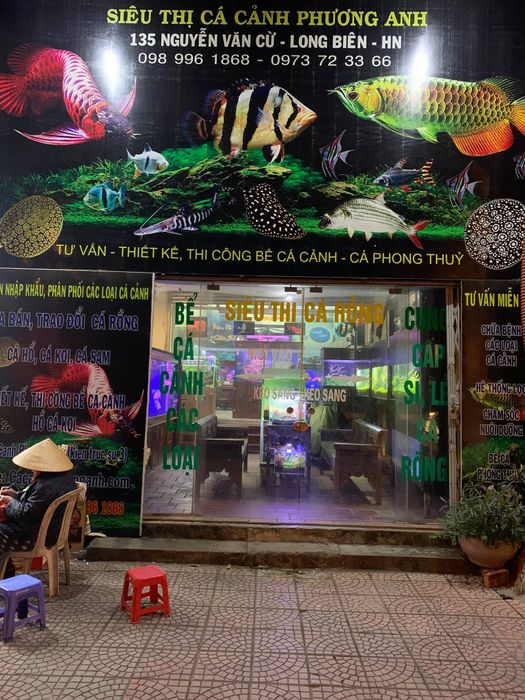 Siêu Thị Cá Cảnh Phương Anh ảnh 3