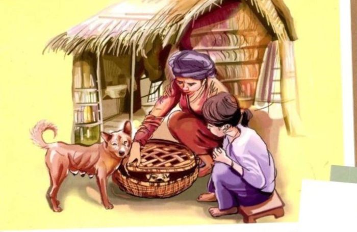 Hình ảnh minh họa (Nguồn: internet) - ảnh 1