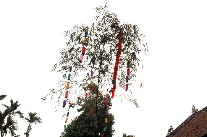 Hình ảnh minh họa câu đố Tết sinh động cho bé