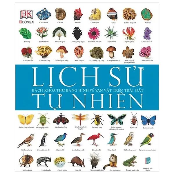 Hình ảnh minh họa sinh động (Nguồn: internet) ảnh 2