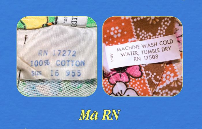 Hình ảnh minh họa mã RN điển hình