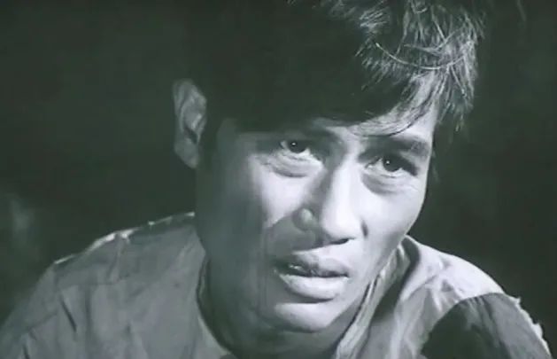Ảnh minh họa (Nguồn: internet), hình ảnh số 1