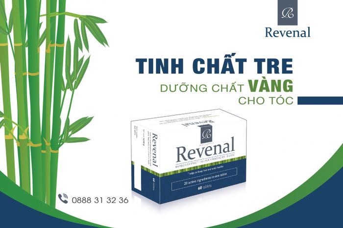 Bộ sản phẩm Revenal đầy đủ