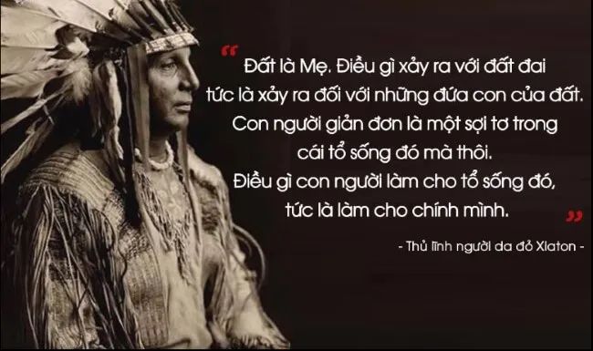 Hình ảnh minh họa chân thực (Nguồn: Internet) - Ảnh 1