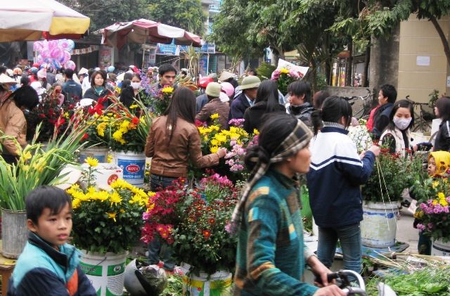 Ảnh minh họa (Nguồn: Internet) ảnh 1