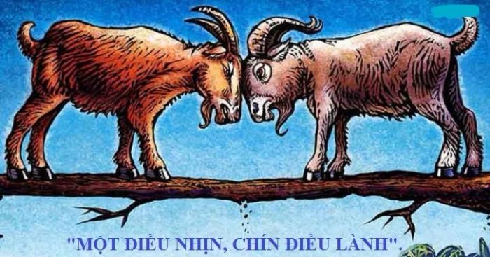 Ảnh minh họa (Nguồn internet) ảnh 1