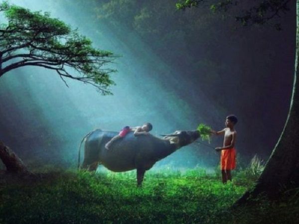 Hình ảnh minh họa đặc sắc (Nguồn internet)