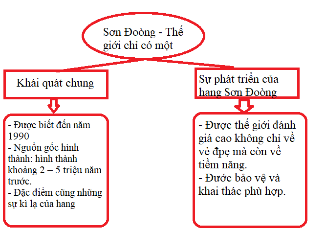 Hình ảnh minh họa số 1 - Khám phá vẻ đẹp Sơn Đoòng (Nguồn: tổng hợp)