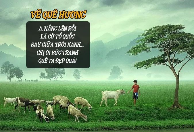 Ảnh minh họa (Nguồn internet) ảnh 1