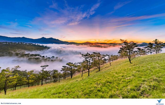 Hình minh hoạ thơ (Nguồn: Internet) ảnh 1