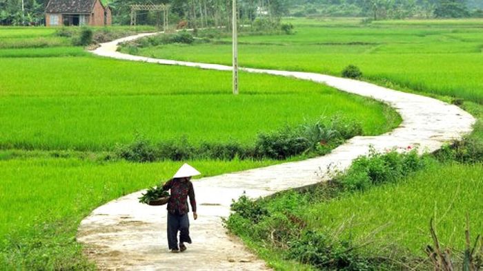 Ảnh minh họa (Nguồn internet) ảnh 1