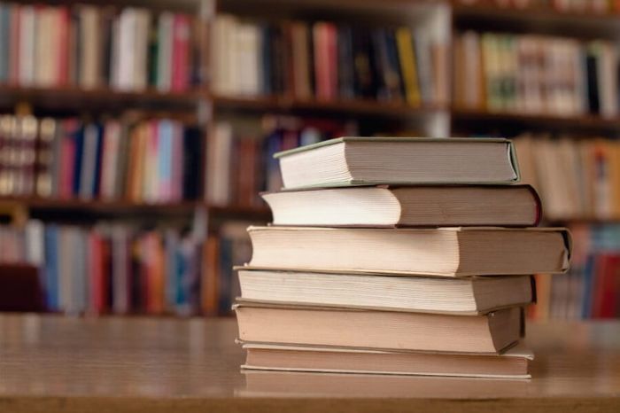 Hình ảnh minh họa tác phẩm 'Trong lòng mẹ' (Nguồn: Internet)