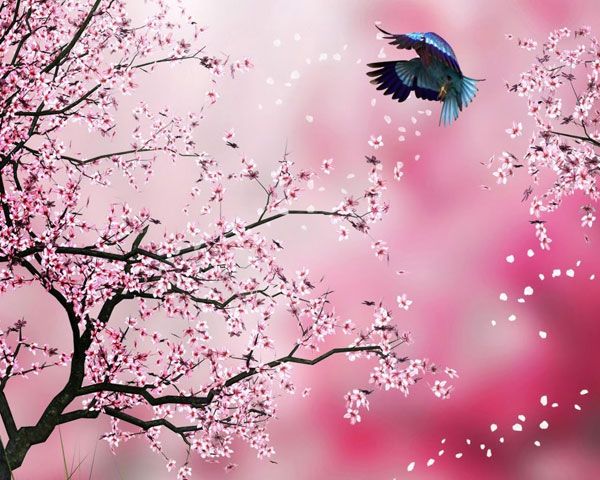 Hình ảnh minh họa câu đố Tết cho bé mầm non