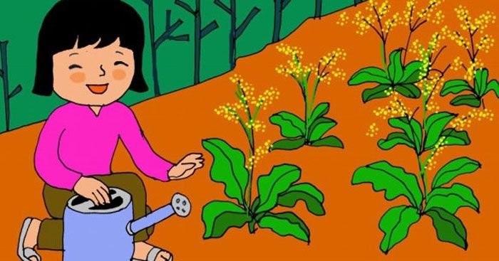 Hình ảnh minh họa (nguồn Internet)