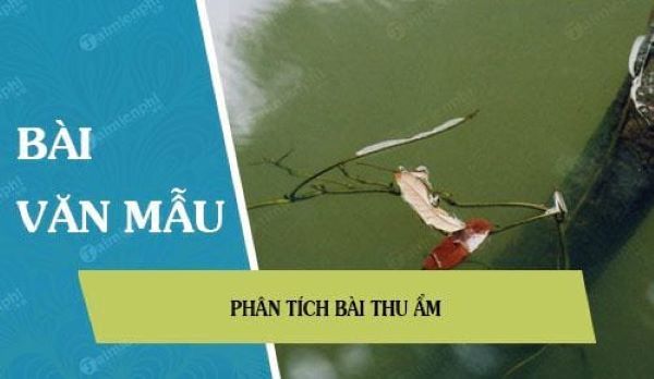 Hình ảnh minh họa bài thơ 'Thu ẩm' (Nguồn: internet)
