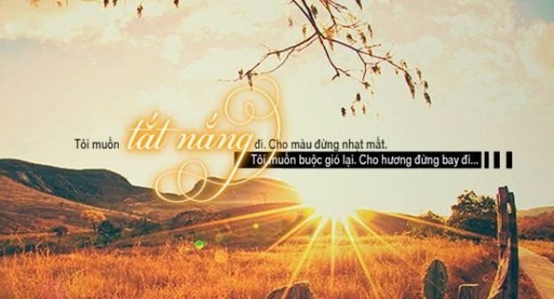 Hình ảnh minh họa sống động (Nguồn: Internet)