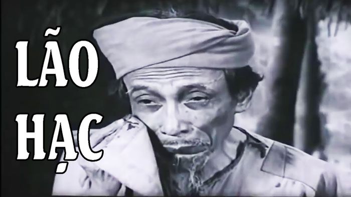 Hình ảnh minh họa sống động được chắt lọc từ kho tàng hình ảnh internet (Ảnh 1)