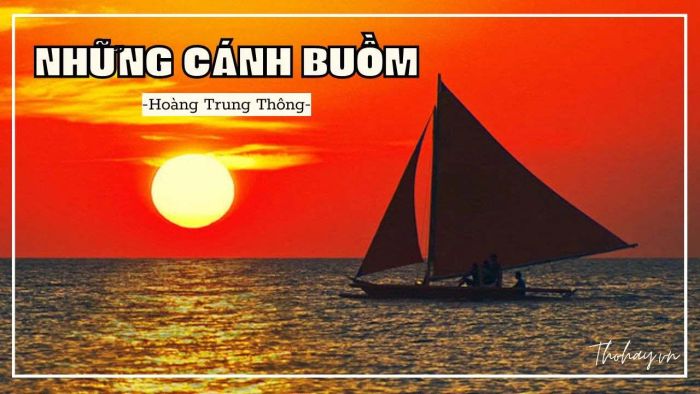 Hình ảnh minh họa (Nguồn internet) ảnh 1