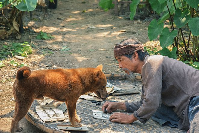 Tranh minh họa cảnh Lão Hạc và cậu Vàng (Nguồn: Internet)