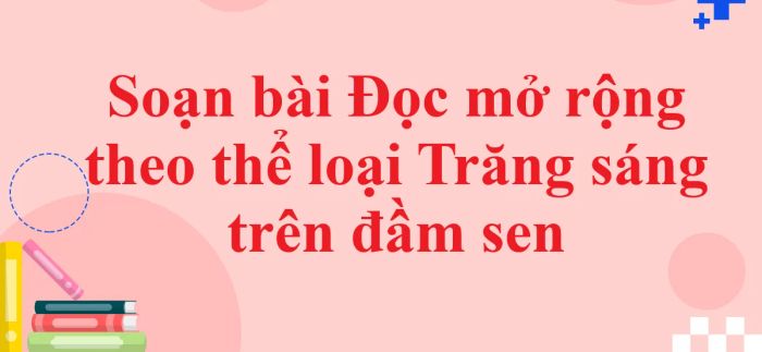 Ảnh minh họa (Nguồn internet) ảnh 1