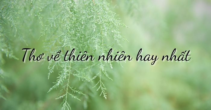 Hình ảnh minh họa số 1 (Nguồn: Sưu tầm)