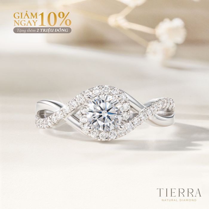 Bộ sưu tập hình ảnh đẳng cấp từ Tierra Diamond Jewelry