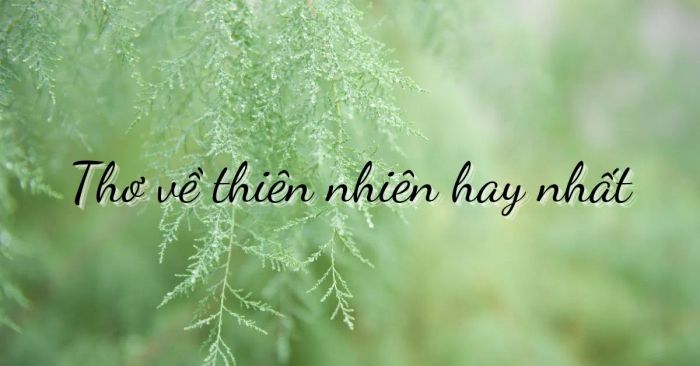 Hình minh họa ấn tượng từ nguồn internet (ảnh số 1)