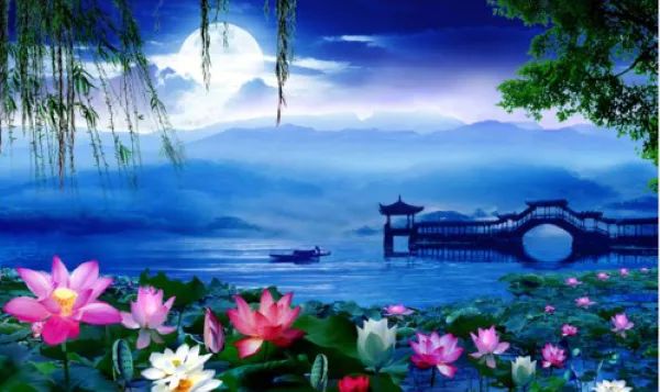 Ảnh minh họa (Nguồn internet) ảnh 1