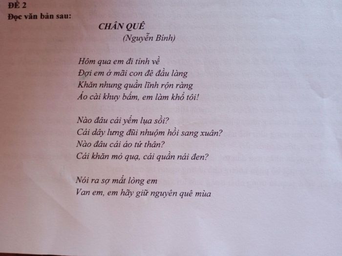 Ảnh minh họa (Nguồn internet) ảnh 1