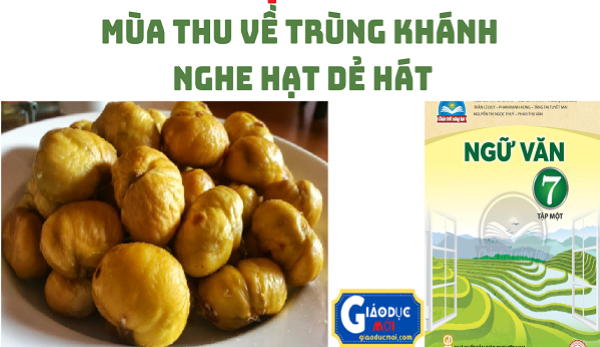 Hình ảnh minh họa (Nguồn internet) ảnh 1