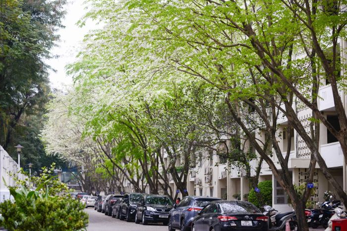 Ảnh minh họa làng quê Việt - Nguồn tư liệu