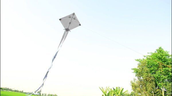 Ảnh minh họa (Nguồn internet) ảnh 1