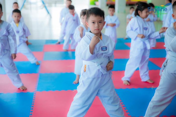Giờ học ngoài trời đầy hứng khởi tại Skyline Montessori