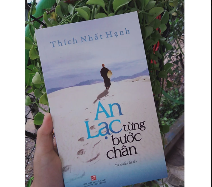 An Lạc Từng Bước Chân ảnh 2 - Bước đi trong chánh niệm như hoa sen nở giữa dòng đời xô bồ.