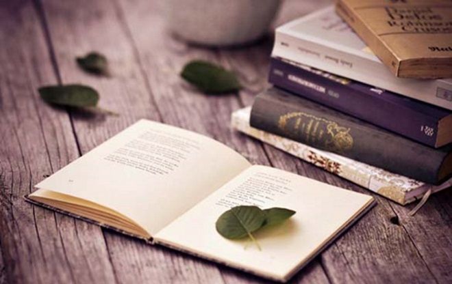Bức ảnh tư liệu quý giá ghi lại khoảnh khắc giao lưu văn nghệ đầy cảm xúc giữa bộ đội và nhân dân (Nguồn: internet)