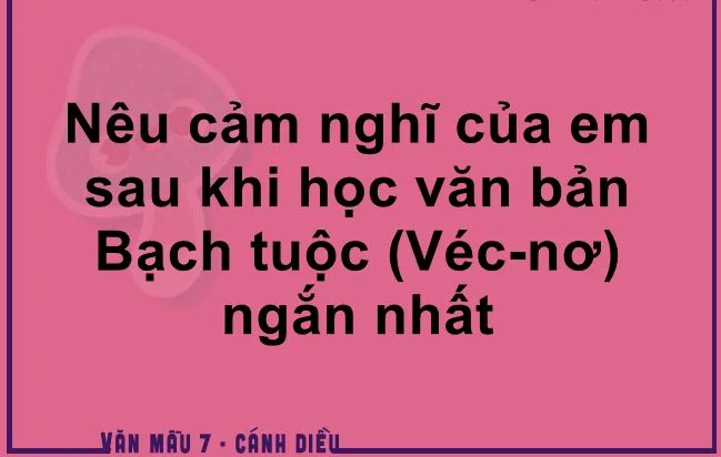 Ảnh minh họa (Nguồn internet) - hình 1