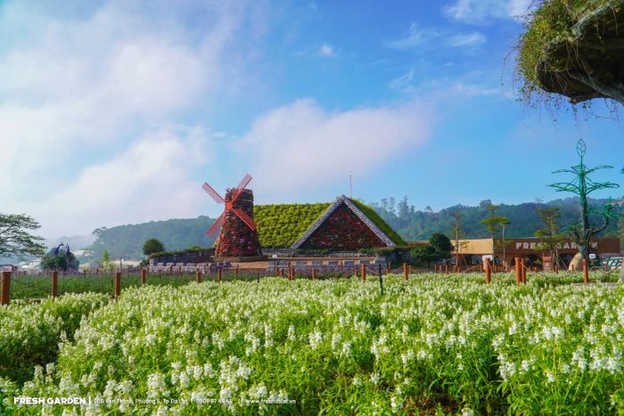 Hòa mình vào sắc hoa tại Fresh Garden Đà Lạt – Ảnh 2